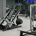 Диск полиуретановый D51 мм PROFI-FIT 15 кг