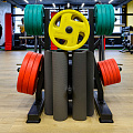 Диск обрезиненный (четыре хвата, цветной) D51 мм PROFI-FIT  1,25 кг