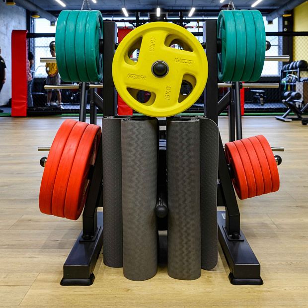 Диск обрезиненный (четыре хвата, цветной) D51 мм PROFI-FIT  5 кг