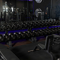 Гантельный ряд силовой (шаг 2,5 кг, 5 пар) PROFI-FIT 27,5-37,5 кг
