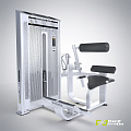 E7031A Разгибание спины. Стек 110 кг