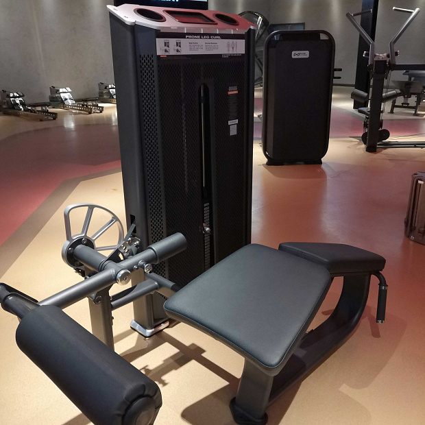 E7001A Сгибание ног лежа. Стек 110 кг