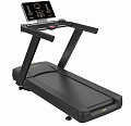 X-8600P Профессиональная беговая дорожка (LED-дисплей) DHZ