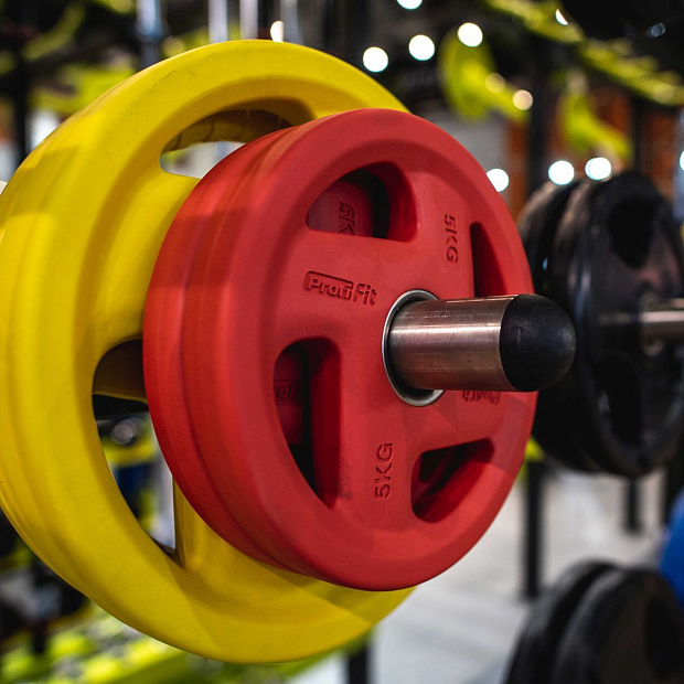 Диск обрезиненный (четыре хвата, цветной) D51 мм PROFI-FIT  5 кг