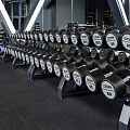 Гантель полиуретановая PROFI-FIT 60 кг