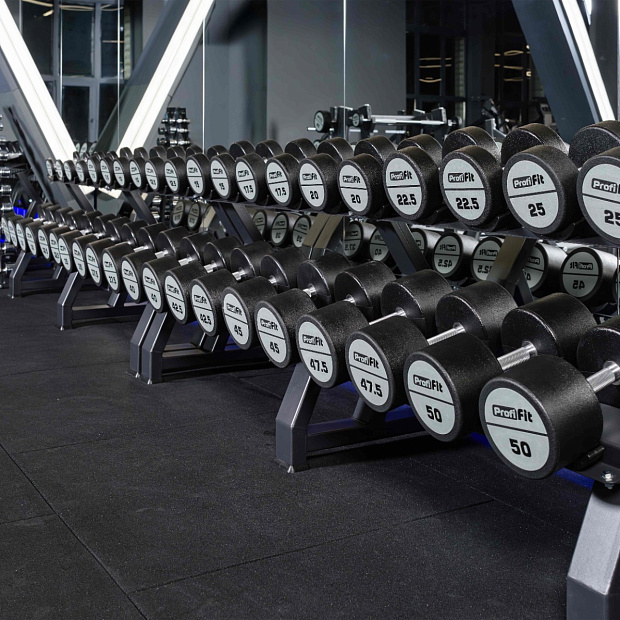 Гантель полиуретановая PROFI-FIT 60 кг