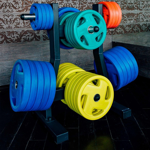 Диск обрезиненный (четыре хвата, цветной) D51 мм PROFI-FIT 25 кг
