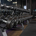 Гантельный ряд силовой (шаг 2,5 кг, 5 пар) PROFI-FIT 27,5-37,5 кг