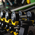Гантельный ряд профессиональный (шаг 2,5 кг, 10 пар) PROFI-FIT 2,5-25 кг