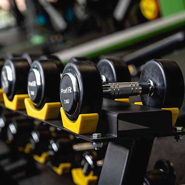 Гантельный ряд профессиональный (шаг 2,5 кг, 10 пар) PROFI-FIT 2,5-25 кг
