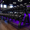 Гантельный ряд силовой (шаг 2,5 кг, 5 пар) PROFI-FIT 40-50 кг