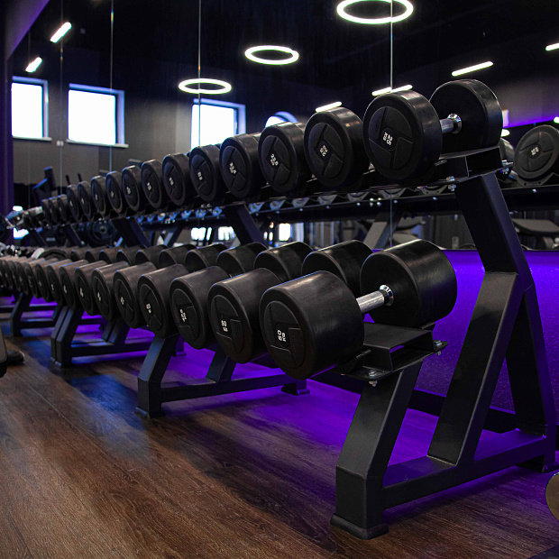 Гантельный ряд силовой (шаг 2,5 кг, 5 пар) PROFI-FIT 40-50 кг