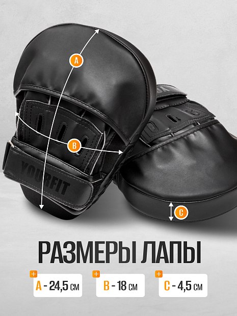 Боксёрские лапы чёрные