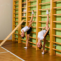 Стенка шведская, гимнастическая массив 150 мм, 2,6х0,6 м ZAVODSPORTA