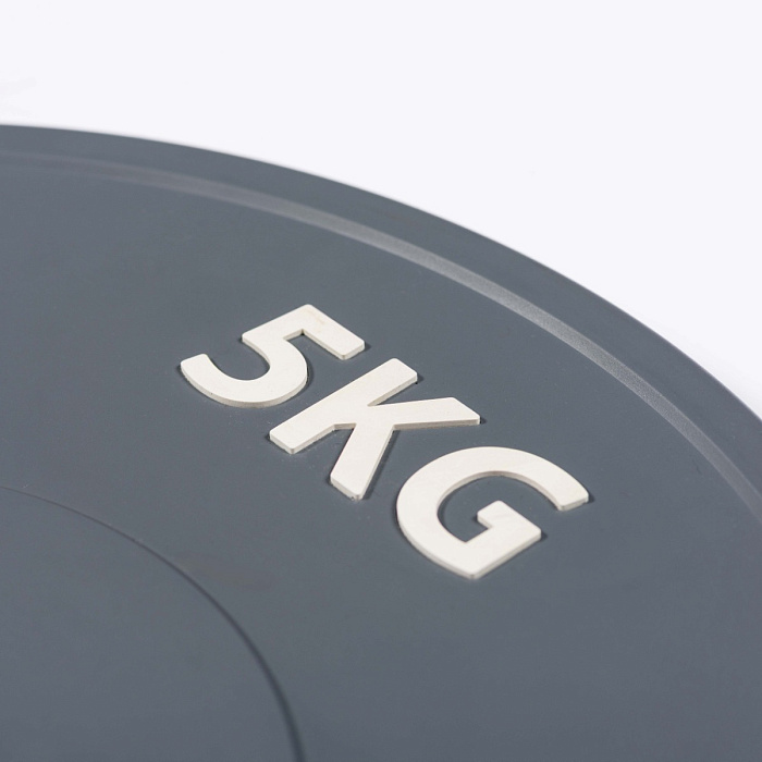Диск профессиональный обрезиненный (цветной) D51 мм PROFI-FIT 5 кг