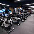 Напольное рулонное резиновое покрытие 8 мм PROFI-FIT