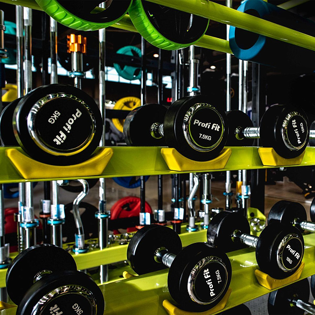 Гантельный ряд профессиональный (шаг 2,5 кг, 10 пар) PROFI-FIT 2,5-25 кг