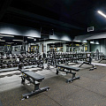 Гантельный ряд профессиональный (шаг 2,5 кг, 10 пар) PROFI-FIT 2,5-25 кг